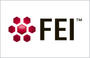 FEI Visualization Sciences Group