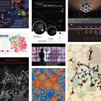 VIZBI Session Posters