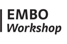 EMBO Workshops
