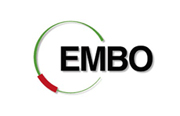 embo