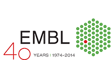 EMBO/EMBL aniversary logo