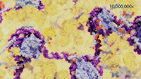DNA methylation