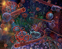 Illustration of Cellular Components