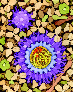 Illustration of Virus