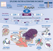 B07