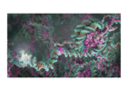 Y12
