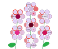Y40
